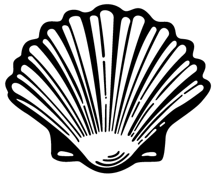 Conch Shell Outline | Free Download Clip Art | Free Clip Art | on ...