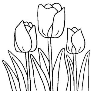 Free Online Coloring Page to Download & Print - Part 209