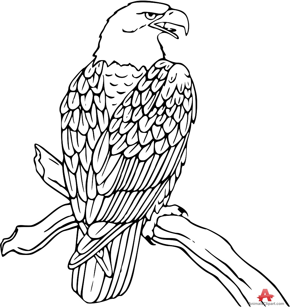 Black and white bald eagle clipart