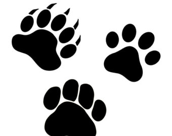 Bear paw | Etsy