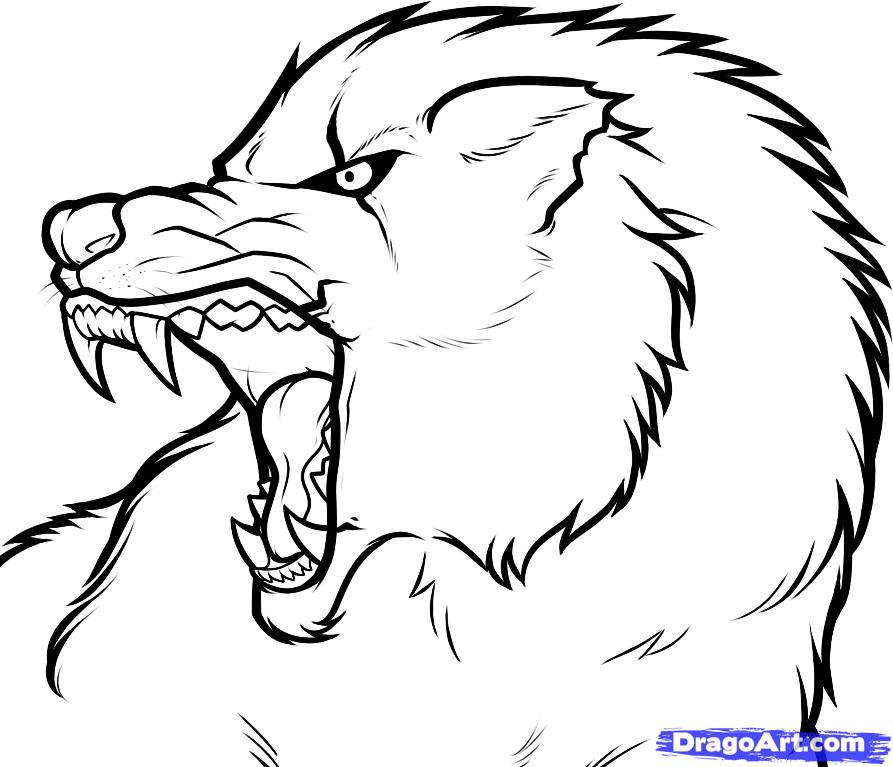 Growling Wolf Drawing - ClipArt Best