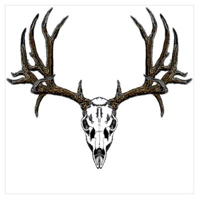 Deer Skull Drawing | Deer Skull ...
