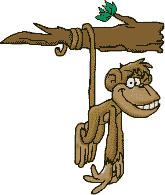 â?· Monkeys: Animated Images, Gifs, Pictures & Animations - 100% FREE!