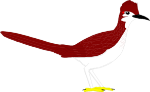 13209577851113206713Roadrunner ...