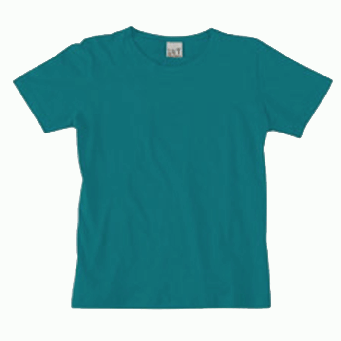 Blank Womens LAT Brand T Shirt s M L XL 2X 3X Soft 100 Combed ...
