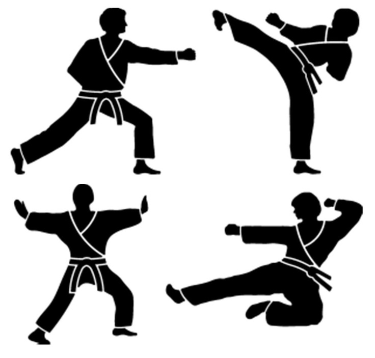 Tae Kwon Do Clip Art