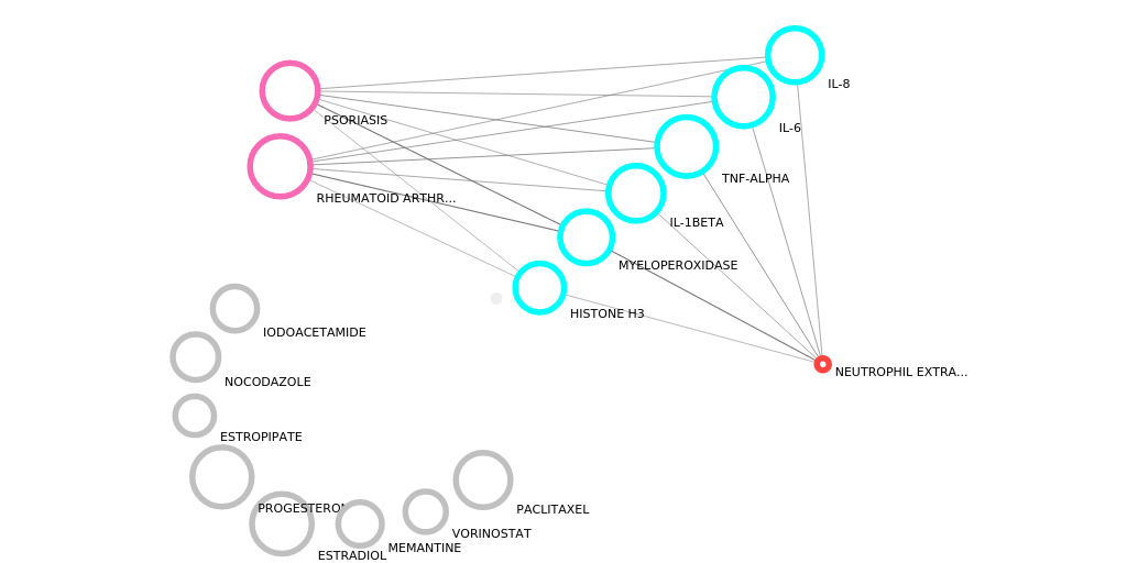 Vizit graphs