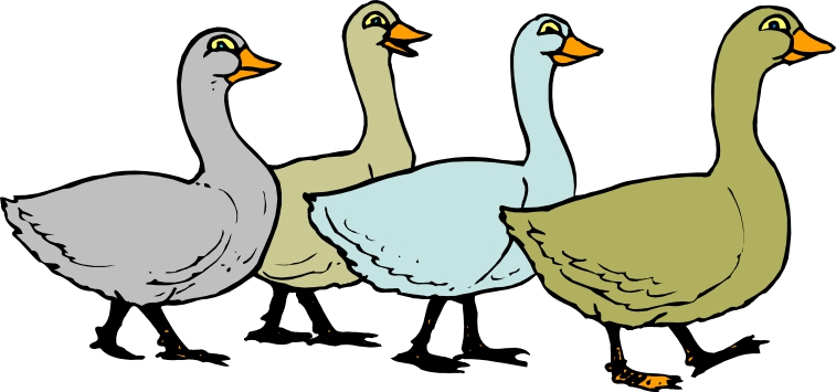 Cartoon Birds | Page 8