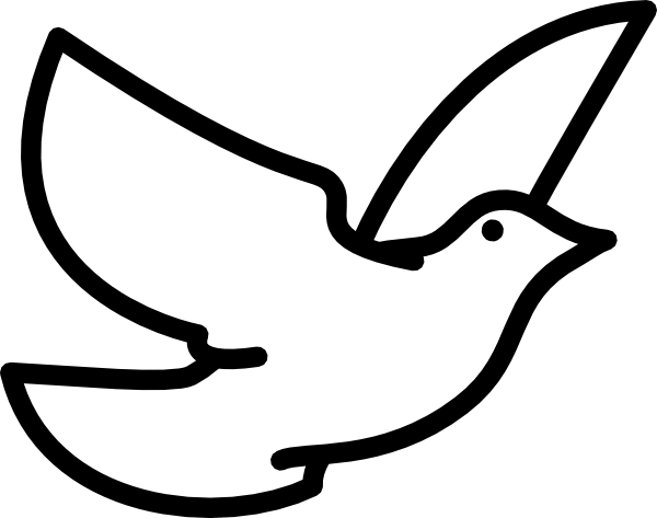 Birds Outline
