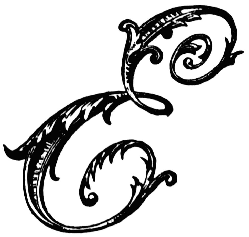 Fancy Letters E Clipart - Free to use Clip Art Resource