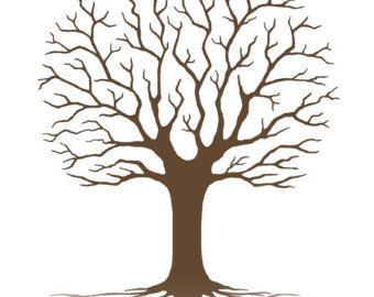 Trees, Search and Leaf template