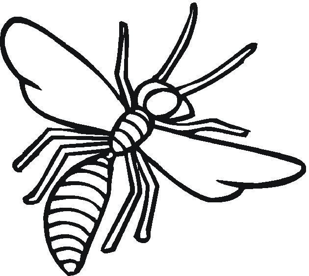 Wasp insect coloring pages - ColoringStar