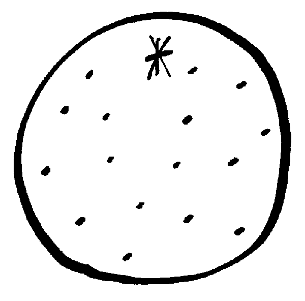 Orange fruit clipart black and white