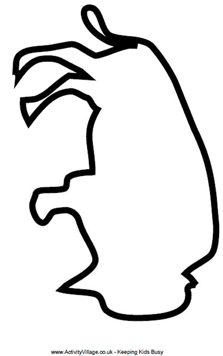 Animal Templates