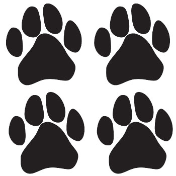 Mascot Temporary Tattoos, Mascot Funtoo