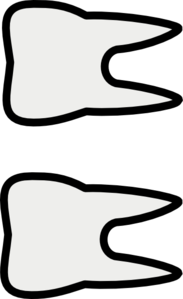 2-teeth-md.png