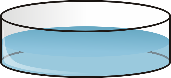 Petri Dish Clip Art - vector clip art online, royalty ...
