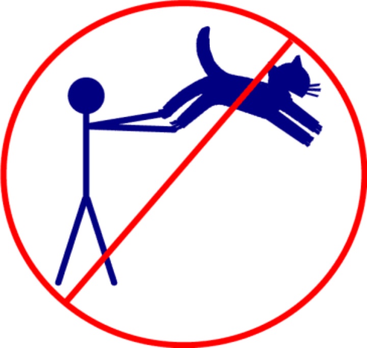 No Cats Sign No cat swinging