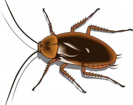 Cognos 1 Free Vector