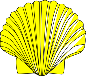 Shell clip art - vector clip art online, royalty free & public domain