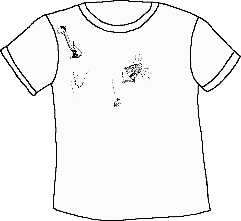 Раскрашивание футболок