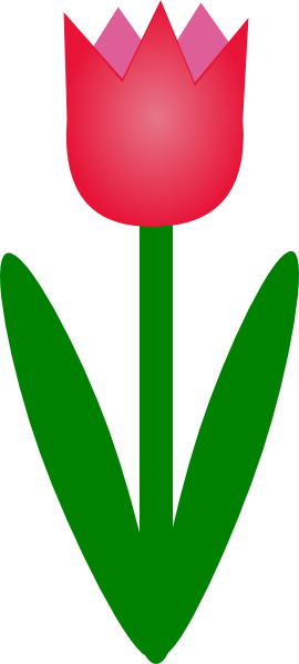 Tulip clip art Free Vector