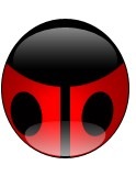 Photoshop website template stock photo ladybird in the grass in ...