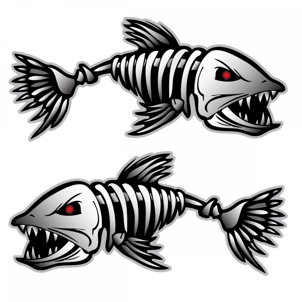 large_167_Fish_Bones_Skeleton_ ...