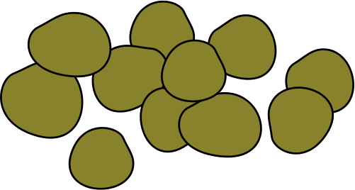 Equus ferus caballus (Horse) : feces - Mammals - Vector ...