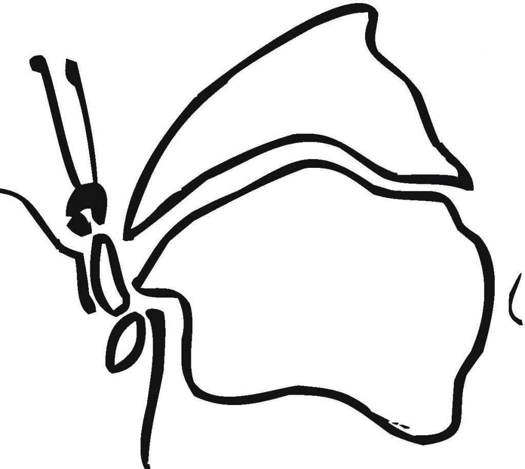 Free Printable Butterfly Coloring Pages For Kids
