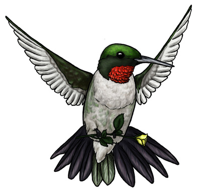 Hummingbird Clip Art