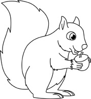 Search Results for squirrel monkey Pictures - Graphics ...
