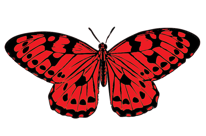 Butterfly Clipart