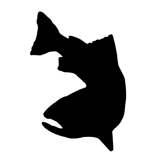 Trout Clipart
