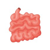 Human Small Intestine Stock Photos and Illustrations - Royalty ...