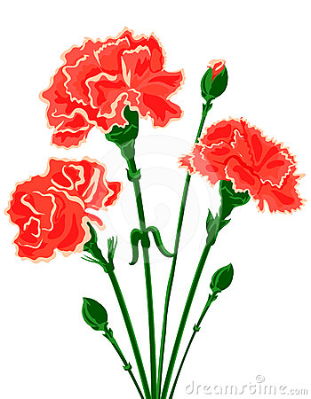 Carnation Border Clipart