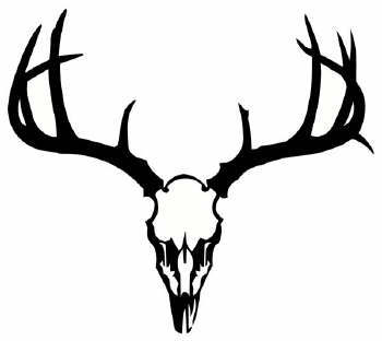 Deer Skull Clipart - Free Clipart Images