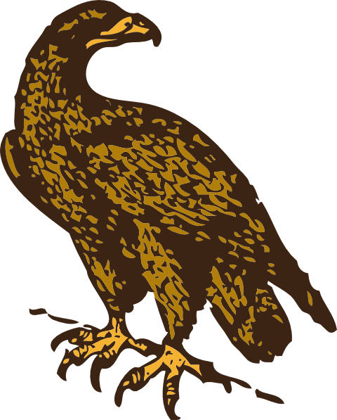 Golden Eagle clip art Free Vector