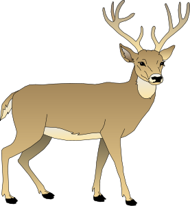 Deer Clip Art - Tumundografico
