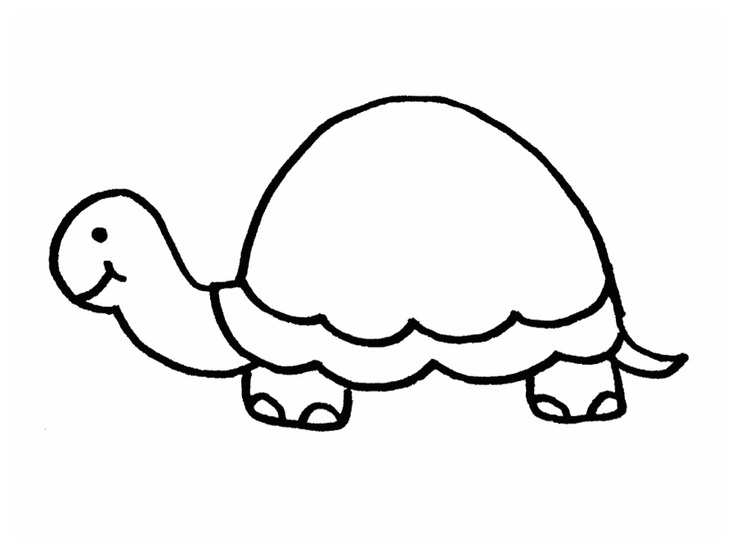 Projector outlines | Turtles, Vector Illustrations ...