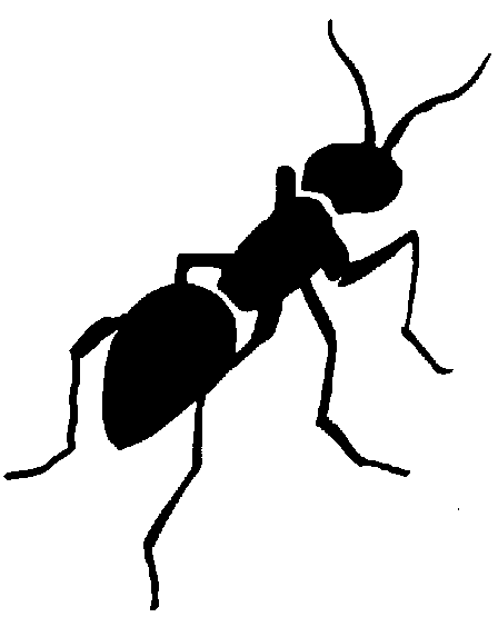 Ant Clipart - Tumundografico