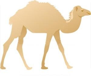 SILK ROAD ENCYCLOPEDIA - Silk Route Trade & Travel Guide
