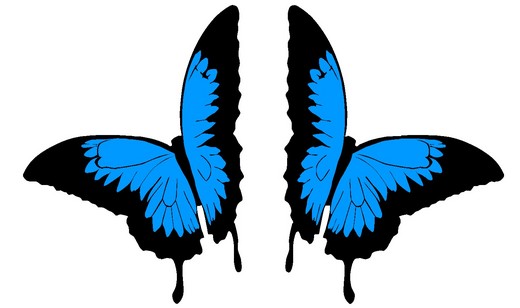 Car Stickers, Paint Protection, Car Graphics :: Auto-Grafixâ?¢