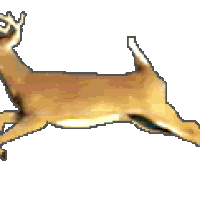 Animated Deer Pictures, Images & Photos | Photobucket