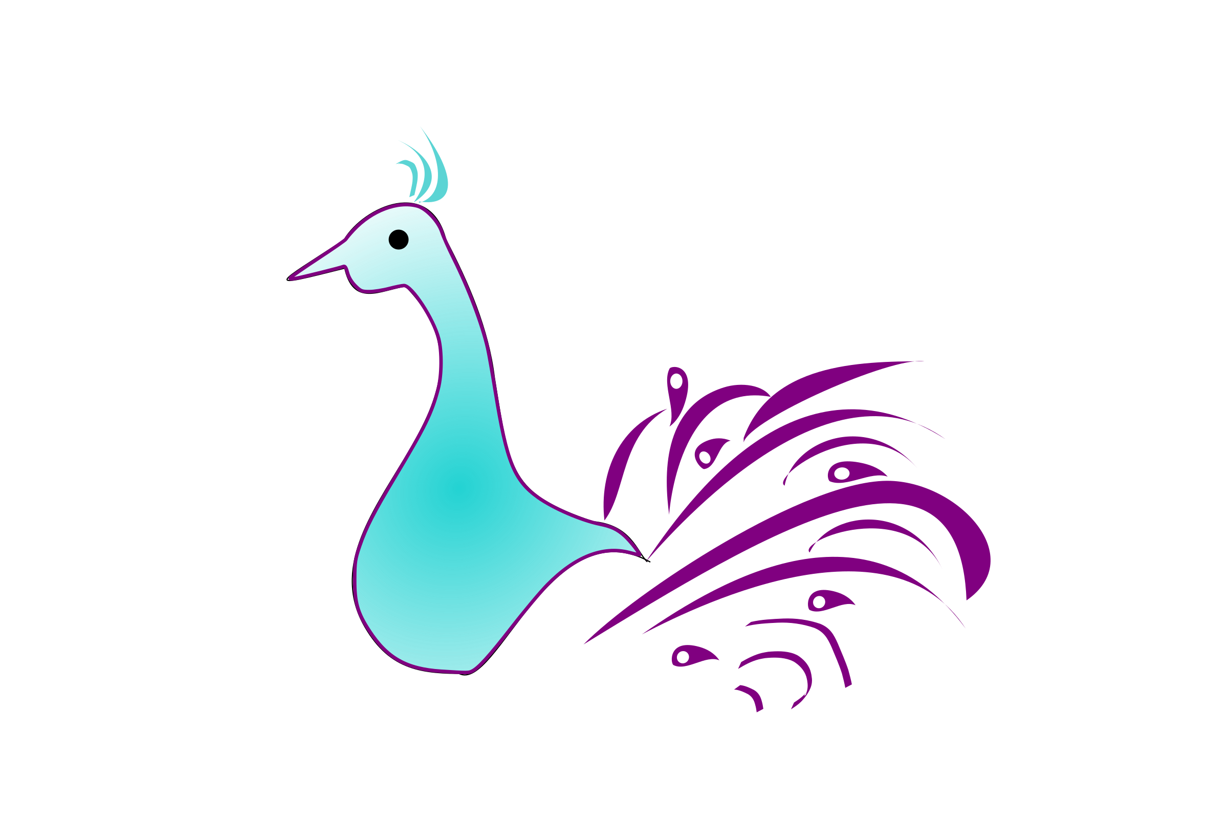 Peacock Vector Clipart - Free Public Domain Stock Photo