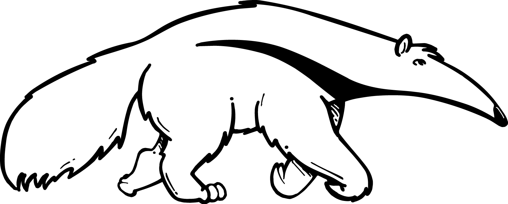 Student Affairs Brand &amp; Visual Identity