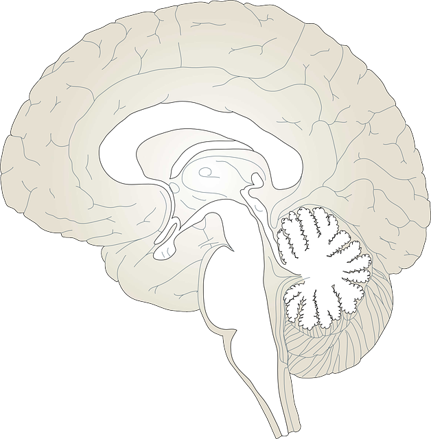 Brain Injury Category Archives — Florida Injury Lawyer Blog ...