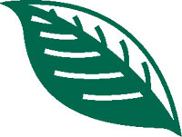 The Meaning of Leaf | Adnams Southwold