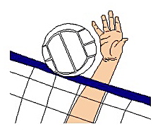 Volleyball — St. Ann's Episcopal Church, Woodstock IL