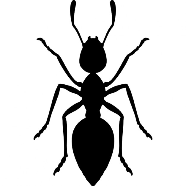 Ant Icons | Free Download